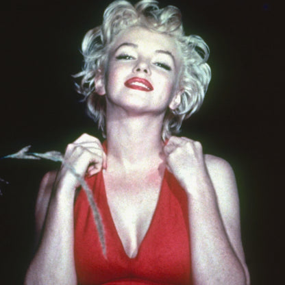 Notebook Diary-Marilyn Monroe
