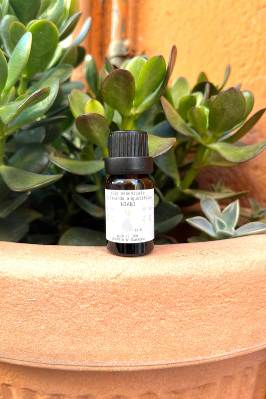 Olio essenziale di lavanda angustifolia