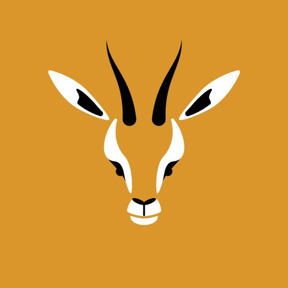 Print 20x20 - Animals-2