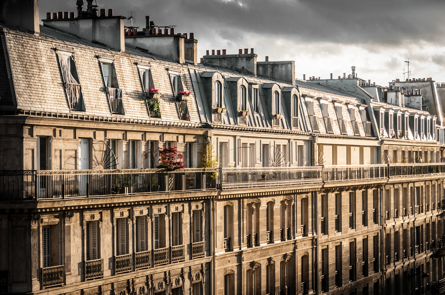 Tetti di Parigi 2