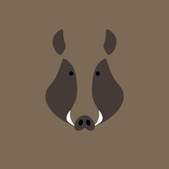 Stampa 20x20 - Animali_1