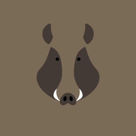 Stampa 20x20 - Animali_1